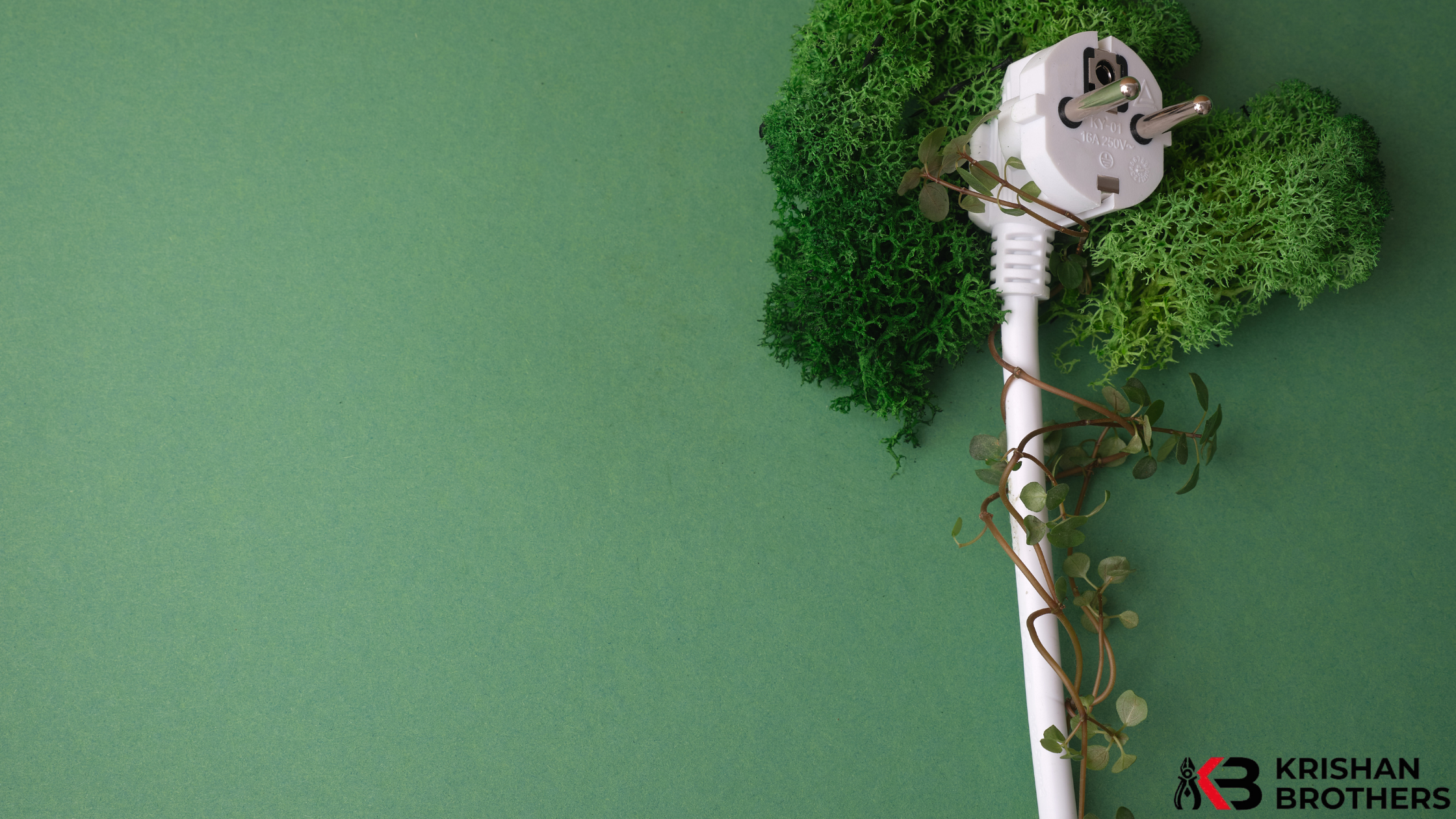 What Is a BNC Plug? Why It’s Still pivotal in videotape and RF Systems